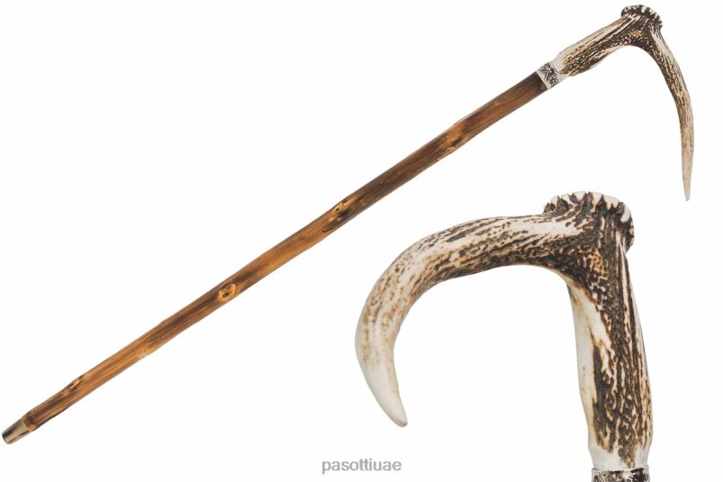 مُكَمِّلات با CCL - قصب قرن الوعل الغزلان PASOTTI Z446V219