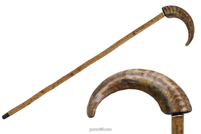 مُكَمِّلات با سم - قصب قرن الضأن PASOTTI Z446V237