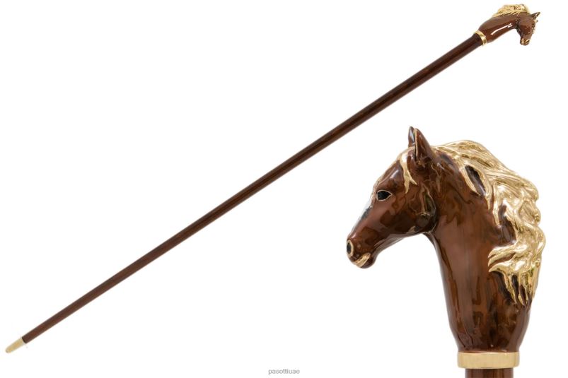 مُكَمِّلات با k45mo - قصب الحصان البني PASOTTI Z446V235