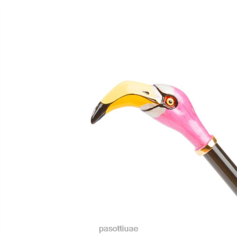 مُكَمِّلات CS K9 - قرن حذاء فلامنغو PASOTTI Z446V275