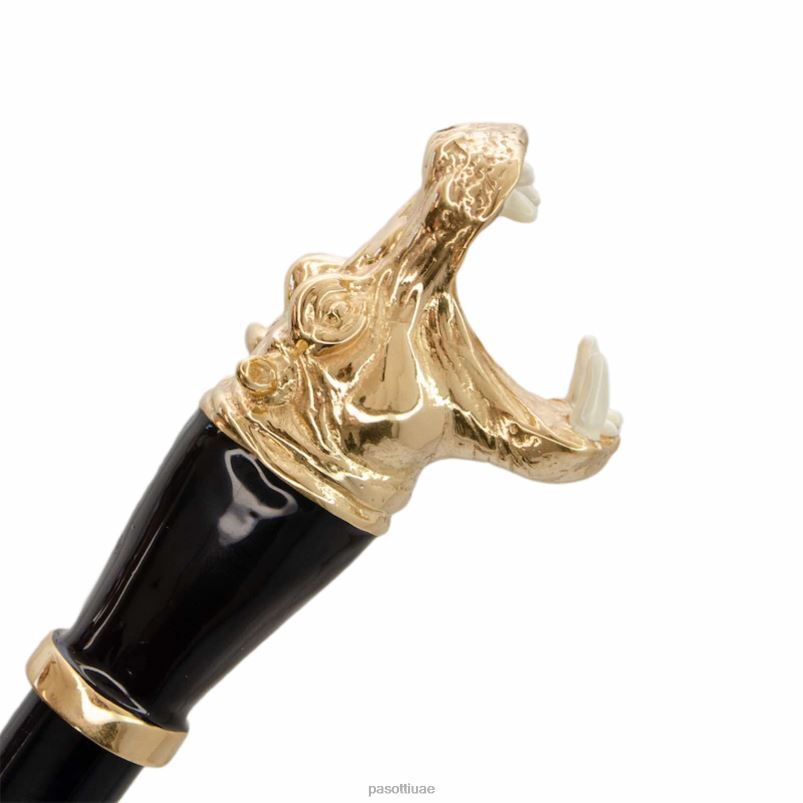 مُكَمِّلات CS k2pc - قرن الهيبوشو PASOTTI Z446V294