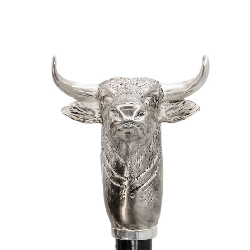 مُكَمِّلات CS k57pc - قرن الثور PASOTTI Z446V265