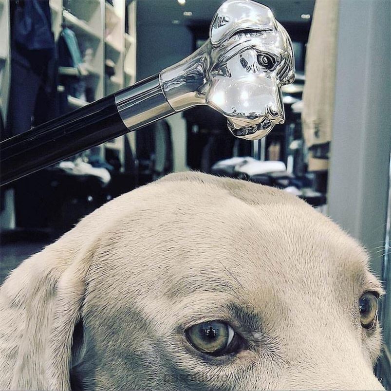 مُكَمِّلات ba w27 - قصب لابرادور فضي PASOTTI Z446V233