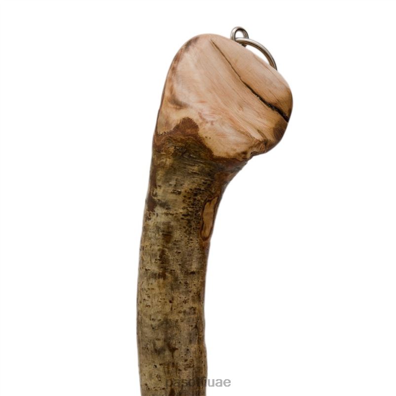 مُكَمِّلات cs o - لبيسة حذاء نادرة من خشب الدردار PASOTTI Z446V647