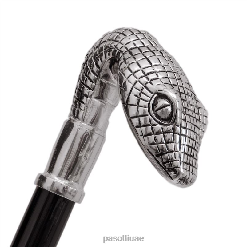 مُكَمِّلات cs w31 - رأس الثعبان PASOTTI Z446V304