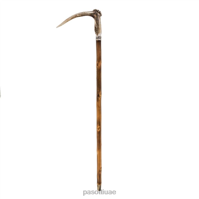 مُكَمِّلات با CCL - قصب قرن الوعل الغزلان PASOTTI Z446V219