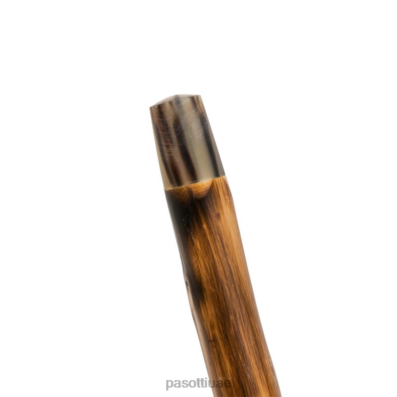 مُكَمِّلات با DF - قصب ناب الخنزير PASOTTI Z446V205