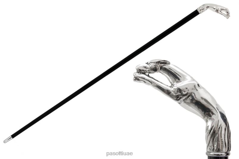 مُكَمِّلات با W10 - قصب السلوقي الفضي PASOTTI Z446V254