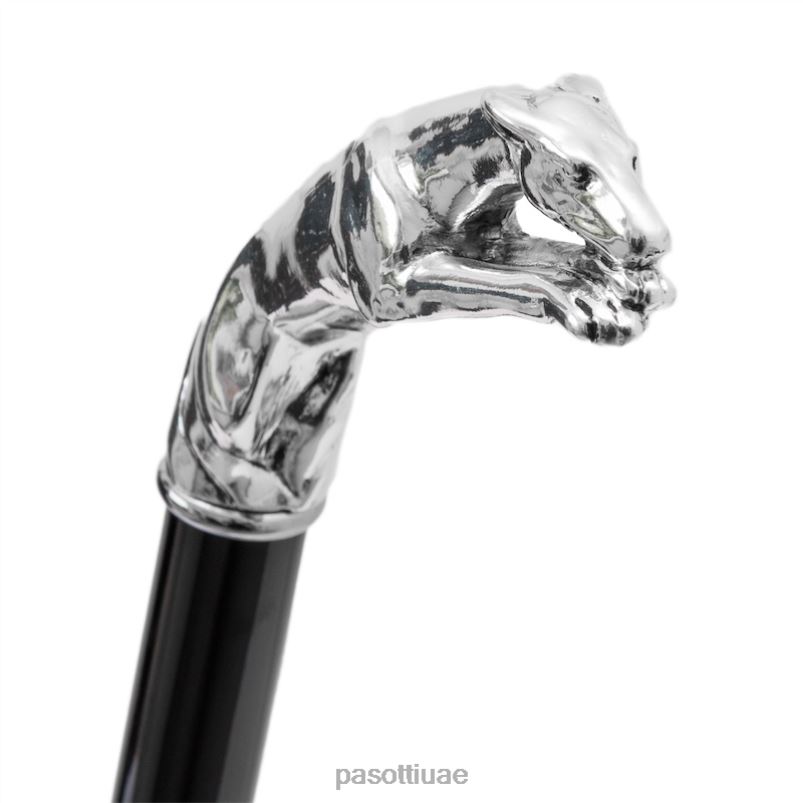 مُكَمِّلات با W10 - قصب السلوقي الفضي PASOTTI Z446V254