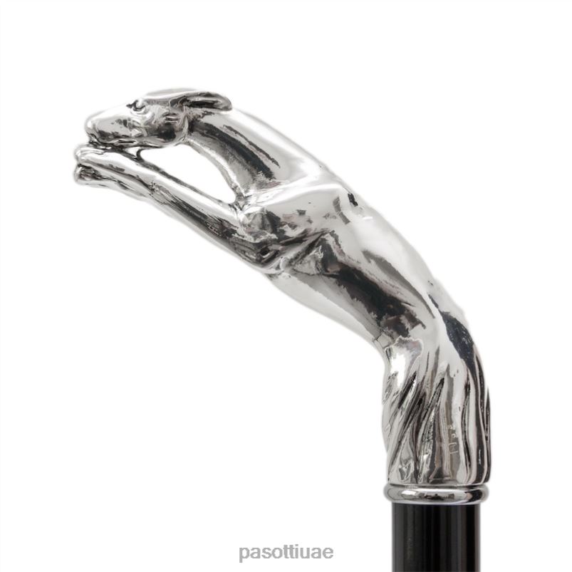 مُكَمِّلات با W10 - قصب السلوقي الفضي PASOTTI Z446V254