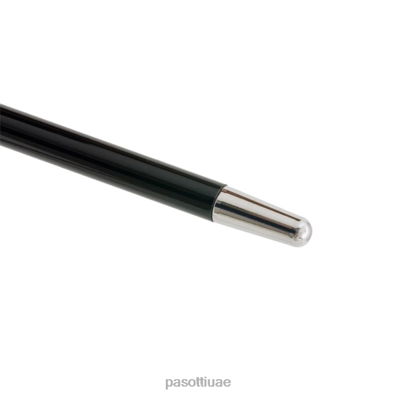 مُكَمِّلات با W35 - قصب النمر الفضي PASOTTI Z446V230