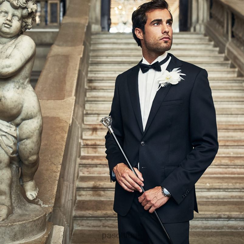 مُكَمِّلات با W43 - قصب الورد الفضي PASOTTI Z446V204