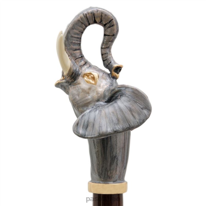 مُكَمِّلات با k32 - قصب الفيل PASOTTI Z446V251