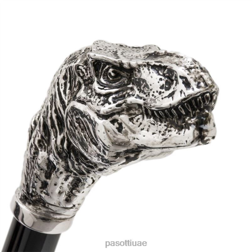 مُكَمِّلات با k42 - قصب تي ريكس PASOTTI Z446V206