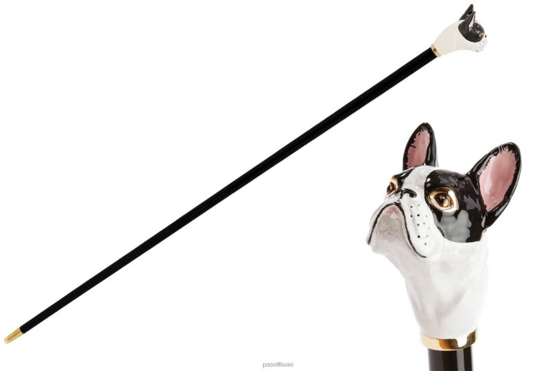 مُكَمِّلات با k61bi - قصب البلدغ الفرنسي PASOTTI Z446V257