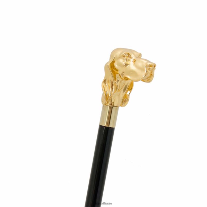 مُكَمِّلات با w40or - فيدوكان ذهبي PASOTTI Z446V255