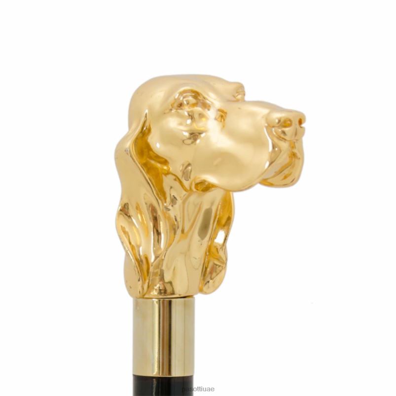 مُكَمِّلات با w40or - فيدوكان ذهبي PASOTTI Z446V255