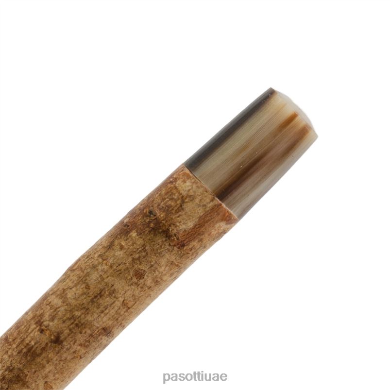 مُكَمِّلات با سم - قصب قرن الضأن PASOTTI Z446V237