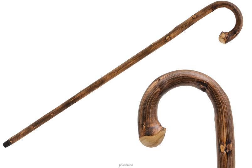 مُكَمِّلات با كر - عصا الكستناء مع الجذر PASOTTI Z446V258